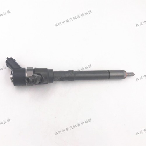 Good Wholesale Vendors plunger assy -
 Auto truck parts common rail fuel injector -Chengui